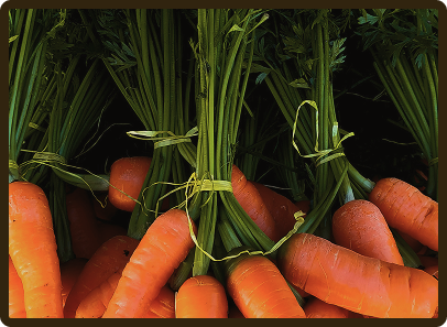 carrot bundles