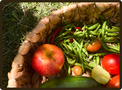 woven basket full of fresh produce